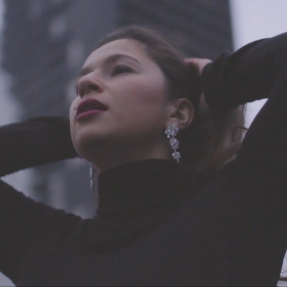 Evening Shine Stone Earrings